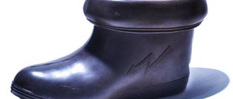 What is the difference between dielectric galoshes and boots, where are they used and how are they verified?