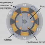rotor polarization