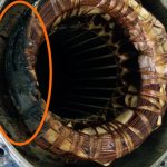 “Burnt” wires of the stator winding